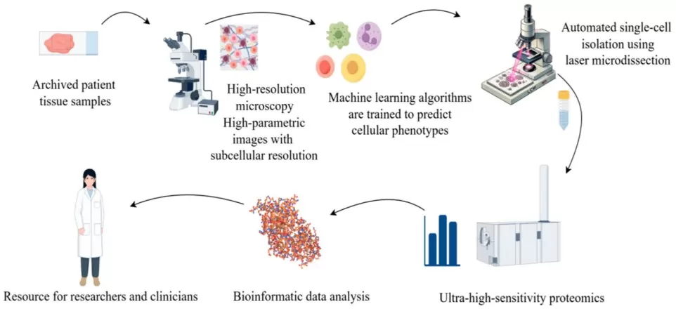 AI-driven workflow in proteomics integrating high-resolution microscopy, machine learning, and ultra-high-sensitivity technologies